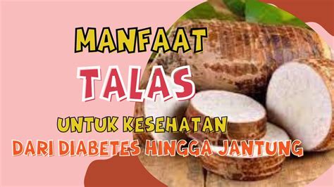 Manfaat Talas Untuk Kesehatan YouTube