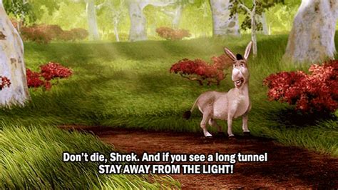 Shrek Donkey Pick Me 