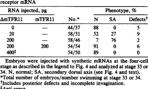 Figure From A Truncated Bone Morphogenetic Protein Receptor Affects