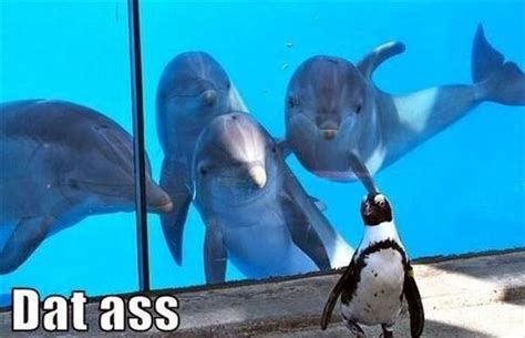 Best Of Dat Ass Gallery EBaum S World