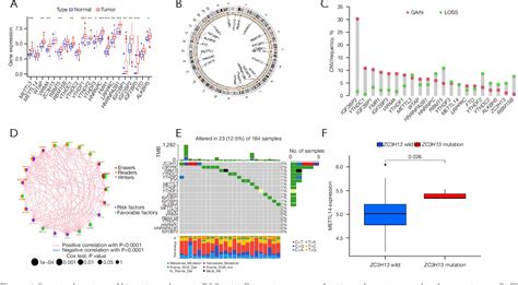 Figure 2 From Comprehensive Analysis Of M6a Rna Methylation Regulators