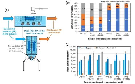 Sp Mass Balance Of Bench Scale Mtf And Pfb Reactors As A Function Of Download Scientific