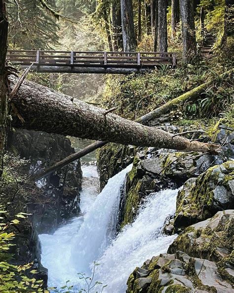 Photos Of Sol Duc Falls Nature Trail Closed Washington Alltrails