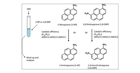 Role Of Human Aldo Keto Reductases In The Nitroreduction Of 1 Nitropyrene And 1 8 Dinitropyrene