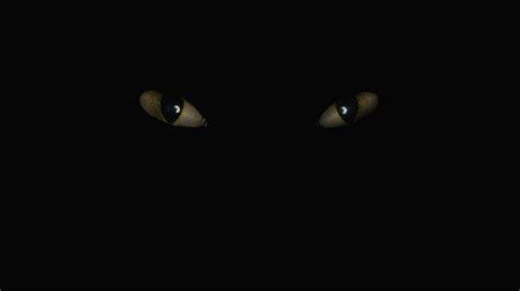 Wallpaper : cat, digital art, eyes, minimalism, Toothless, Black Cat, darkness, screenshot ...