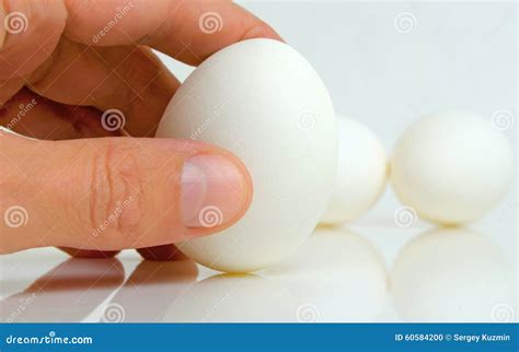 Hand Holding The Egg Stock Photo Image Of Aminoacids 60584200