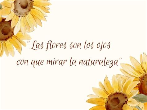 50 Frases De Amor Para Acompañar Tus Flores Amarillas El 21 De Marzo En