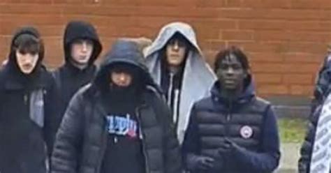 Search for group after Mansfield teenager has chain ripped from his ...