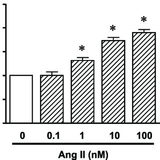 Ang II Stimulated Migration Of RASMCs The Cells Were Treated With Ang