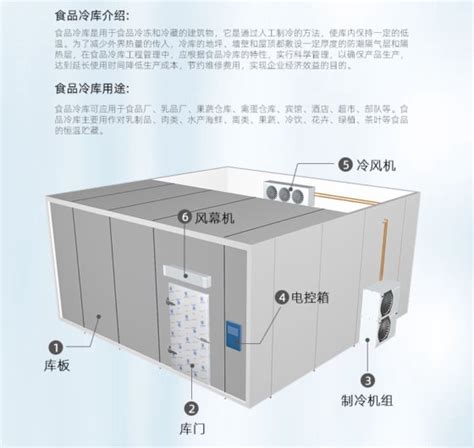 20ft 40ft Container Walk In Cold Storage Room Refrigerator Freezer