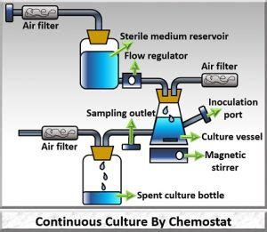 continuous culture definition appratus biology reader