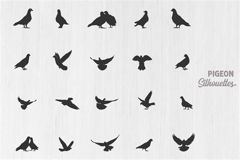 Pigeon Silhouette, Pigeon SVG Graphic by Design_Lands · Creative Fabrica