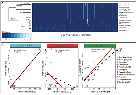 Frontiers Genomic Insights Into The Molecular Basis Of Sexual Selection In Birds