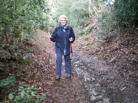 Late January Walk Midhurst Footpath Companions