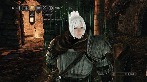 Dark Souls 2 At Dark Souls 2 Nexus Mods And Community