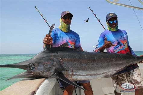 Punta Cana FISHING CHARTERs Offshore Deep Sea Big Game trip