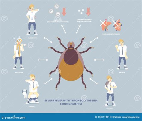 Tick Fever Vector Illustration | CartoonDealer.com #88592582