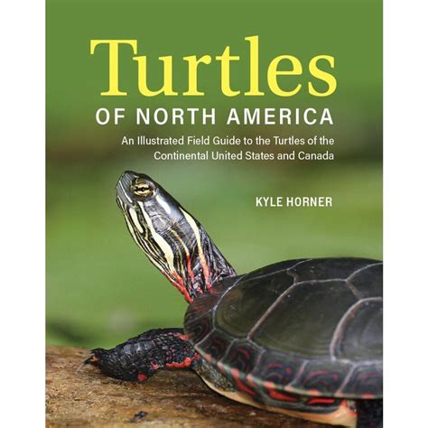 Turtles Of North America Veldshop Nl