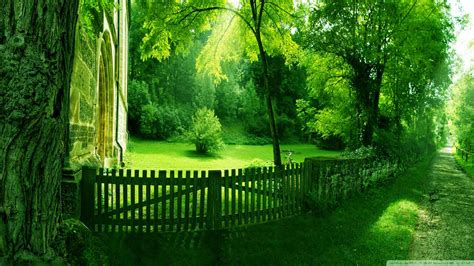 summer scene wallpapers wallpaper cave