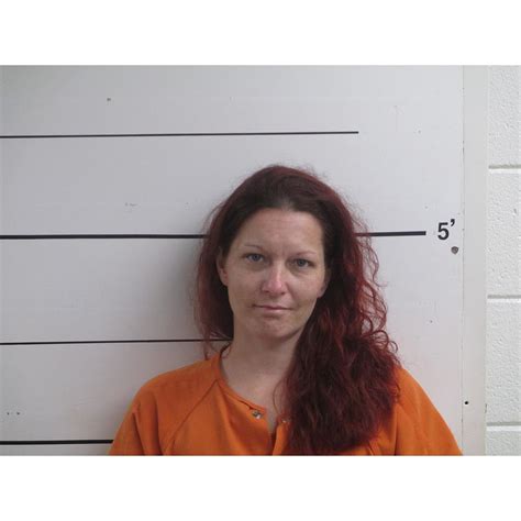 Stewart Jessica R Boyd County Mugshots Zone