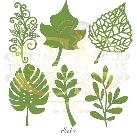 Set Svg Png Dxf Different Leaves For Paper Flowers Etsy Giant