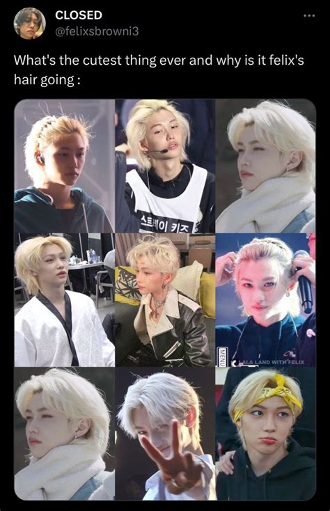 Blonde Felix Is Absolutely Adorable Lol