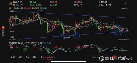 23年8月4日九渊论：（603477）巨星农牧 巨星农牧sh603477 本周还是主打一个低位的盘整震荡。从60分钟级别来看，小时线