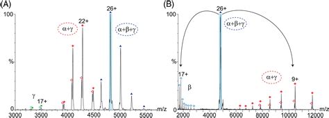 Native Mass Spectrometry—a Valuable Tool In Structural Biology Barth