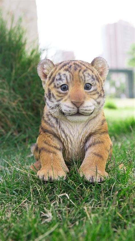 Buy Pet Pals - Tiger Cub Sitting for Sale Online in USA & Canada ...