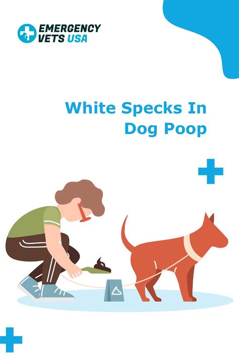 What Are White Specks In Dog Poop Dogs Pooping Dogs Emergency Vet