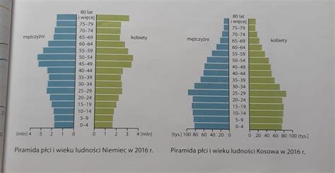 Co To Jest Piramida Płci I Wieku