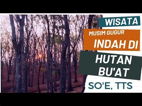 Menikmati Indahnya Alam Saat Musim Gugur Di Hutan Bu At So E Tts Youtube