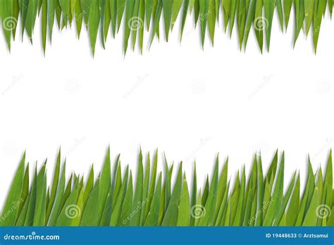 Blank Grass Pattern Stock Image Image Of Work Pupose 19448633