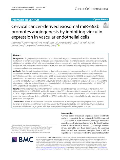 Pdf Cervical Cancer Derived Exosomal Mir B Promotes Angiogenesis