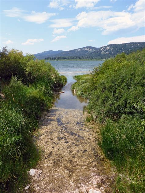 Inlet Two Ocean Lake Trail Grand Teton National Park Wyoming