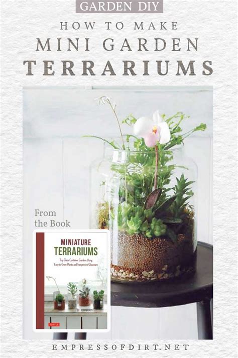 How to Make a Mini Wetland Terrarium With Moss & Ferns — Empress of Dirt