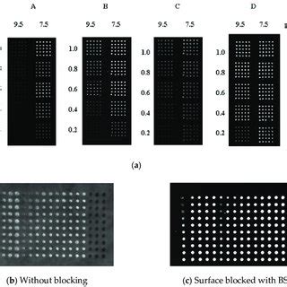 Scheme of the glass support silanization with the use of silane agent... | Download Scientific ...