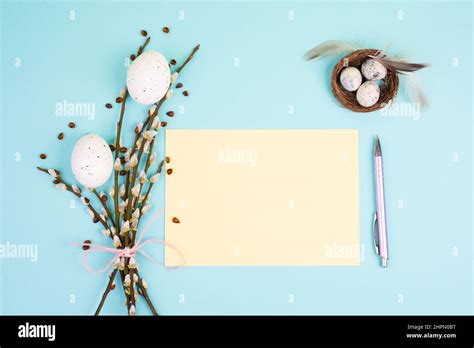 Easter Holiday And Spring Background Empty Paper For Text Pastel Colors Nest With Eggs Pussy