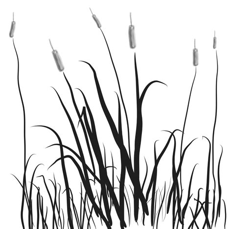 Marsh Cattail Clip art - marsh png download - 1000*987 - Free ...