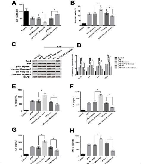 Mir Overexpression Alleviated Lps Induced Inflammatory Injury In