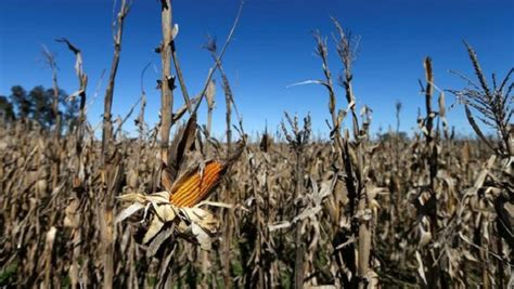 Free State Farmers Appeal To Govt To Declare Drought A Disaster Sabc