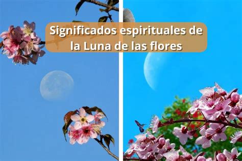 Significados Espirituales De La Luna De Las Flores Para El Y