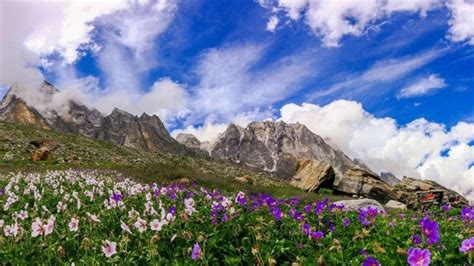 UNESCO Heritage Sites in Uttarakhand | Trawell.in Blog