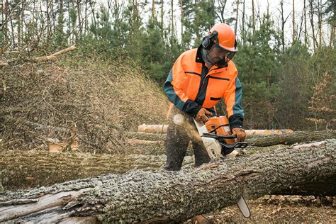 Chainsaw Safety A Guide To Training Hazards And Inspections Safesite