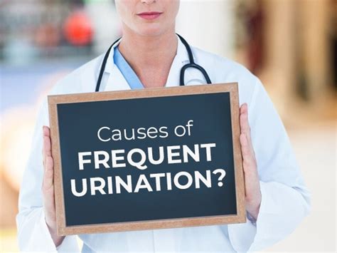 Frequent Urination In Women Causes And Risk Factors Tv Health