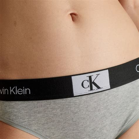 Calvin Klein Modern Bikini Women S Underwear Grey 000QF7222E P7A