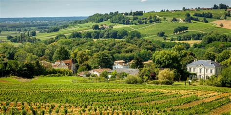 The Top Private & Group Wine Tasting Tours in the Médoc : Winerist Magazine