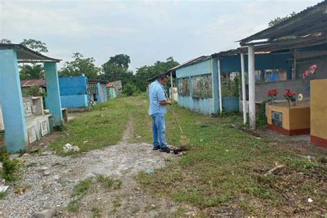 Trabajos de poda de árboles Municipalidad de Morales Izabal