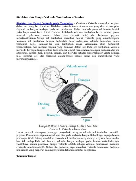 Struktur Dan Fungsi Vakuola Tumbuhan | PDF