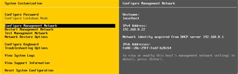 Configure Ip Address And Hostname In Esxi Server